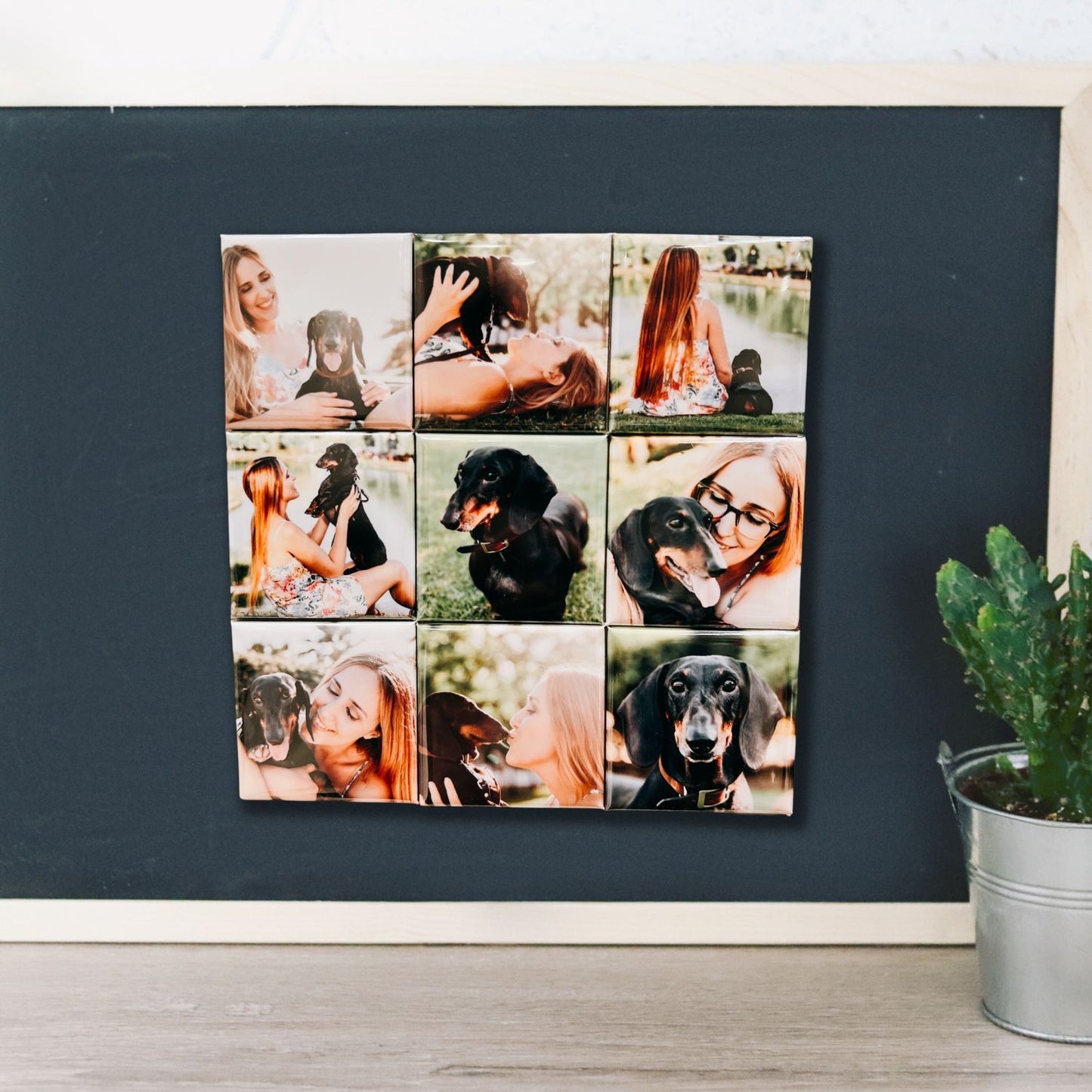 Set of 9 Photo Magnets - Printed Tales