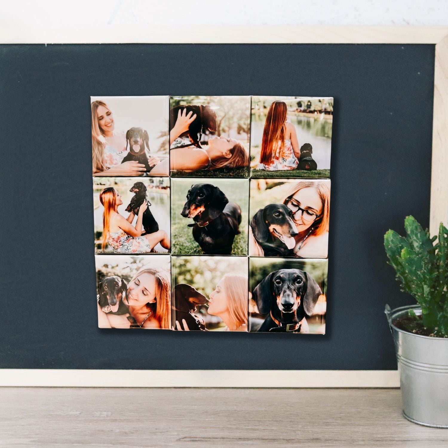 Set of 9 Photo Magnets - Printed Tales