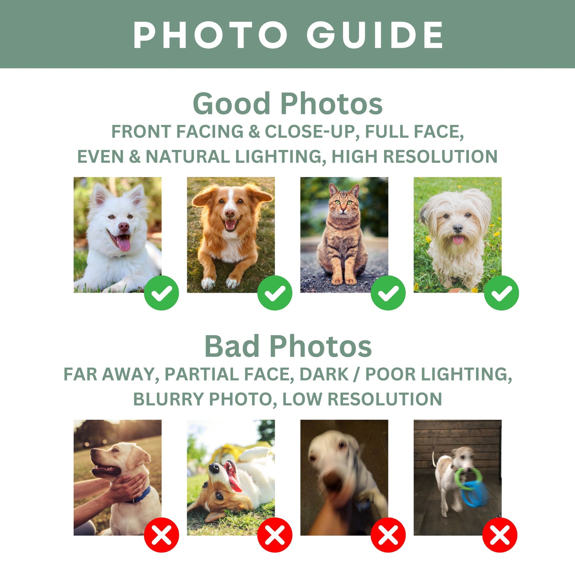 Personalized Pet Photo Mug - Printed Tales