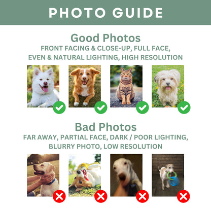 Personalized Pet Photo Mug - Printed Tales